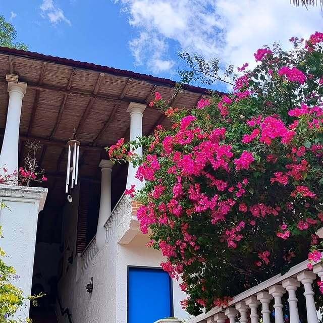 Posada Hacienda Agua Miel - Imagen 5