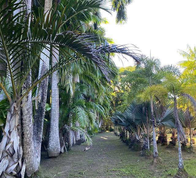 Campamento Ecologico Caruao - Imagen 2