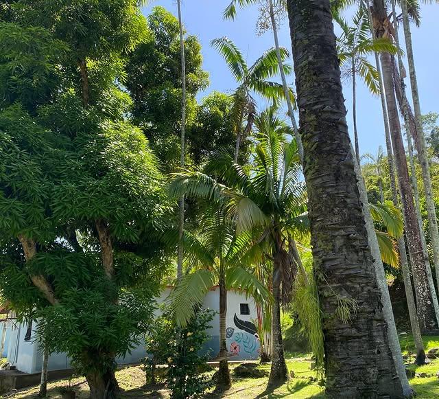 Campamento Ecologico Caruao - Imagen 5