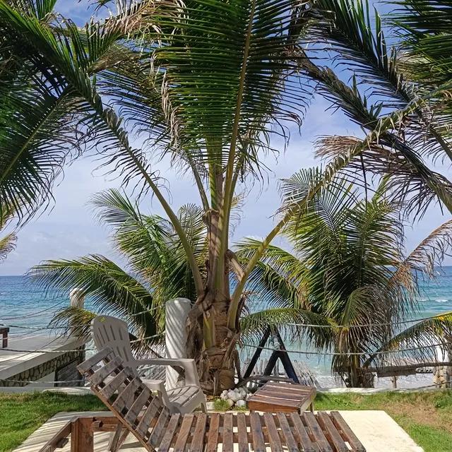 Posada Ymagua - Imagen 7