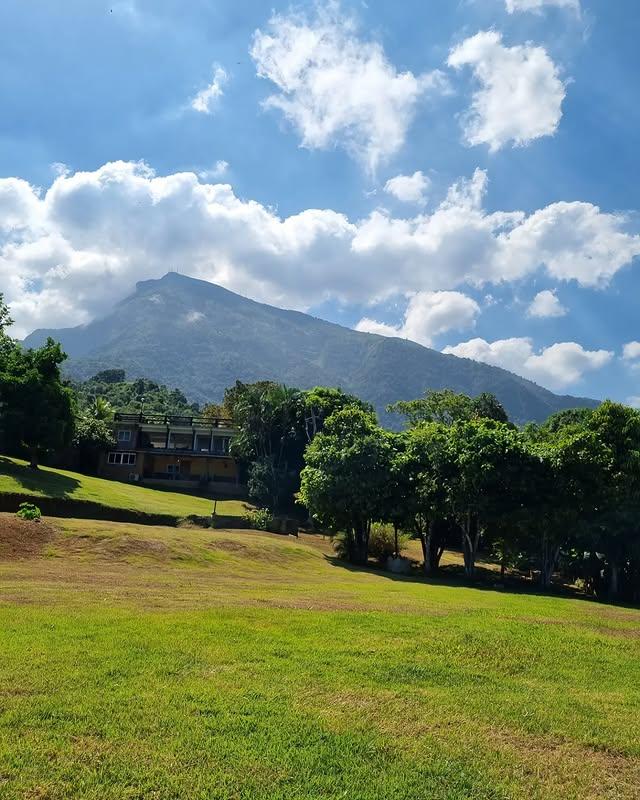 Lomas de Galipan - Imagen 5