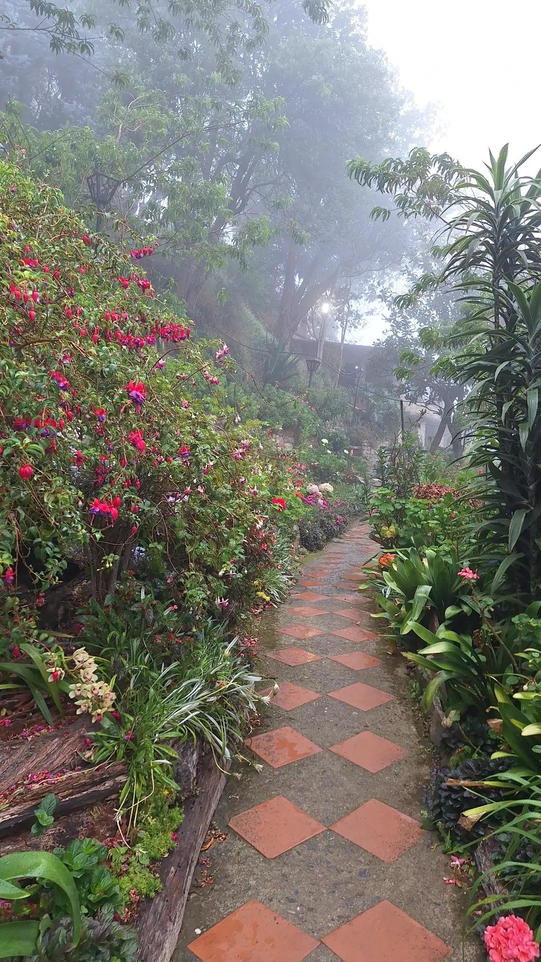 La Posada de Norma - Imagen 2