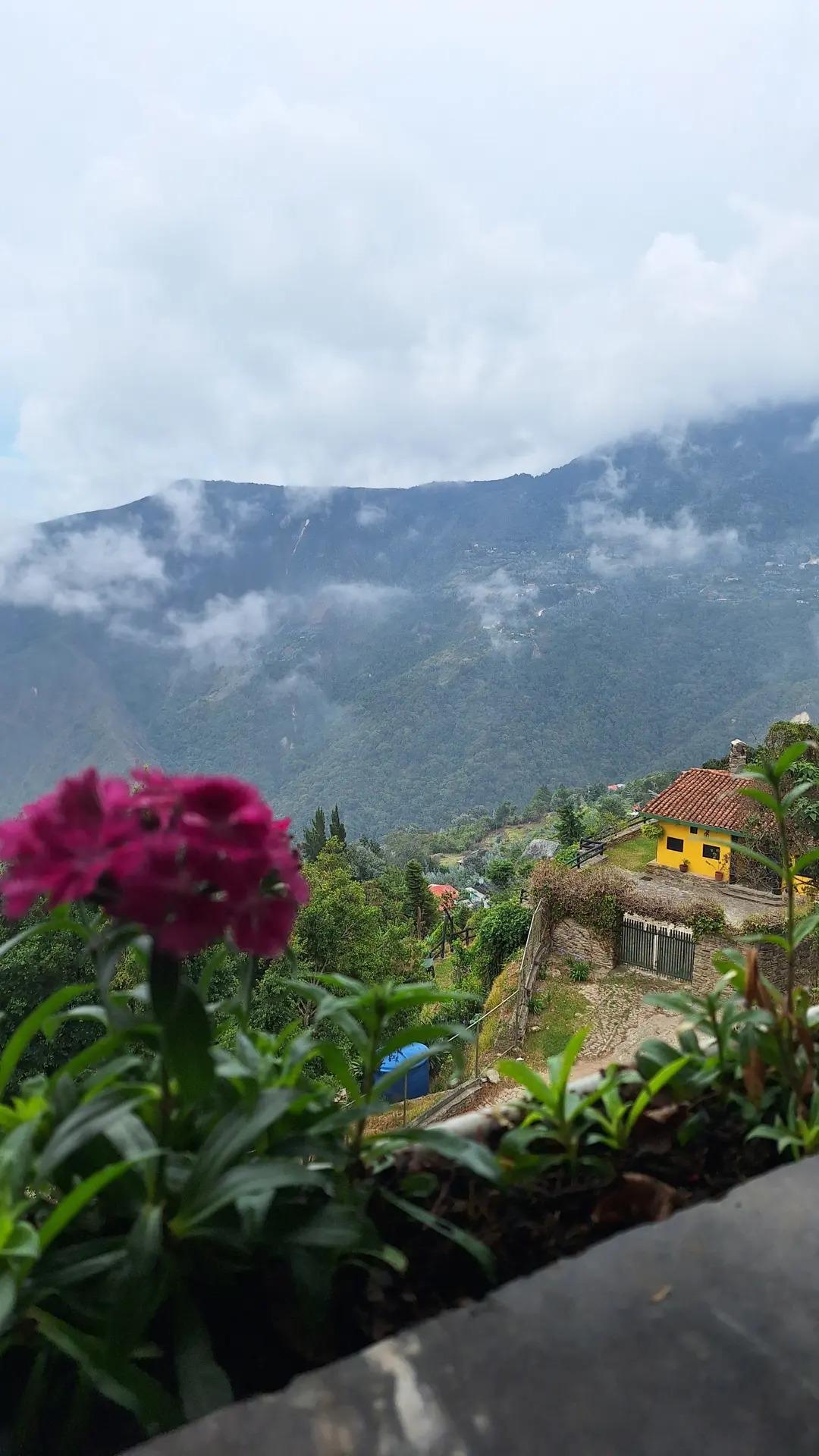 La Posada de Norma - Imagen 3