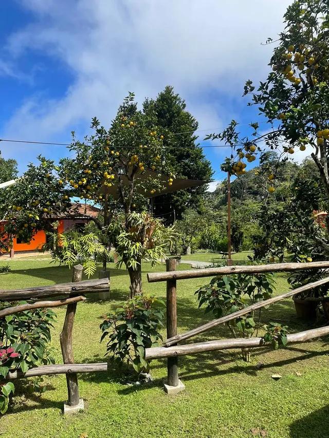 Posada Guanchez - Imagen 4