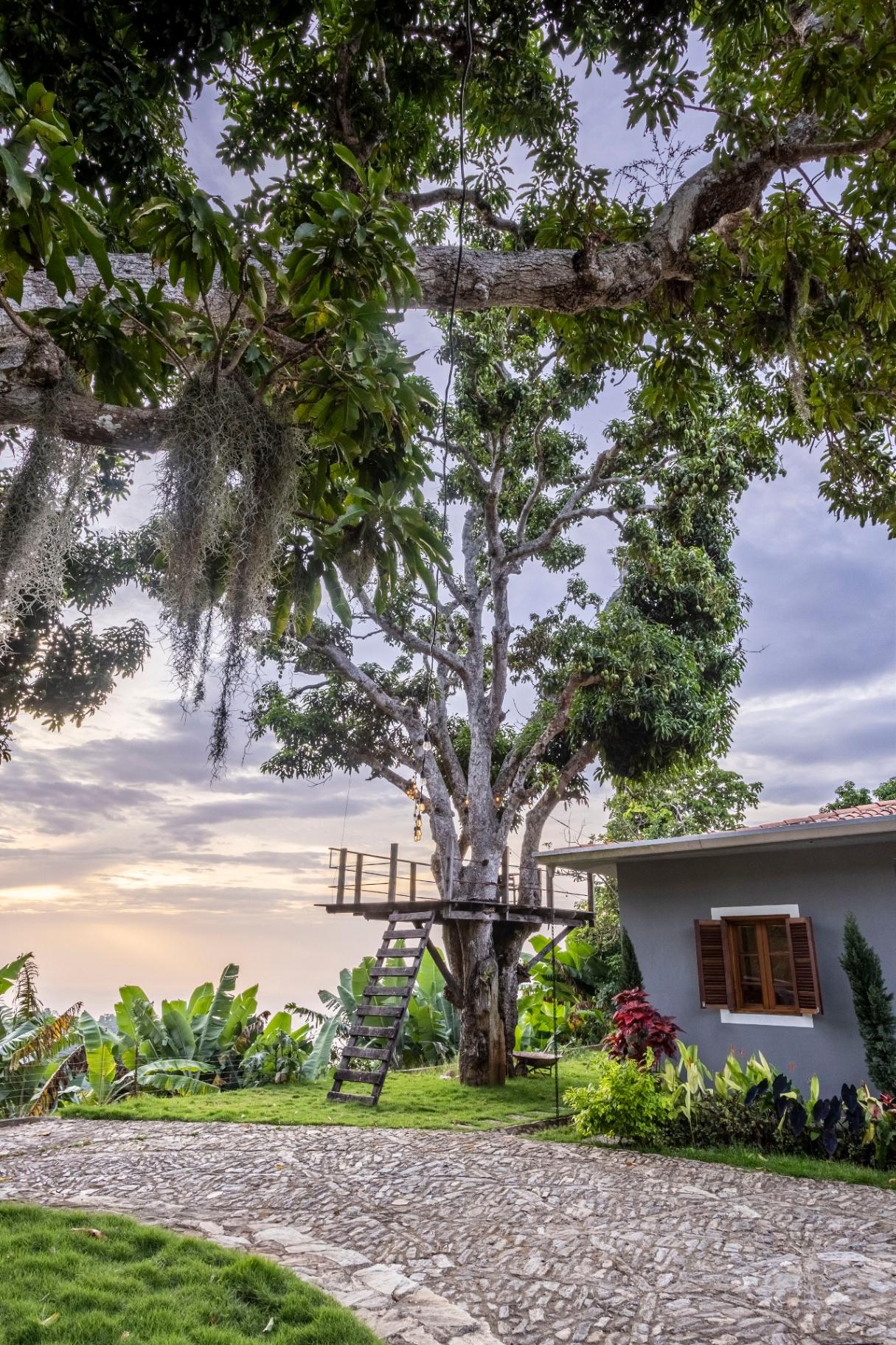 Eden House - Imagen 4