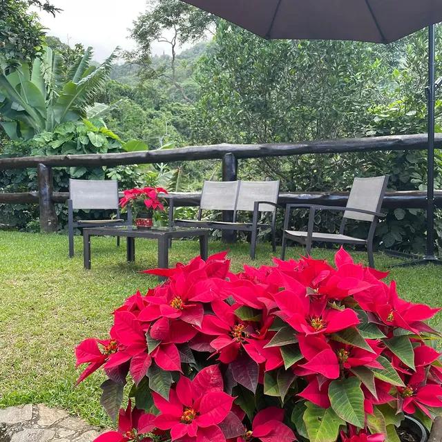 Cabañas Eneida - Imagen 6