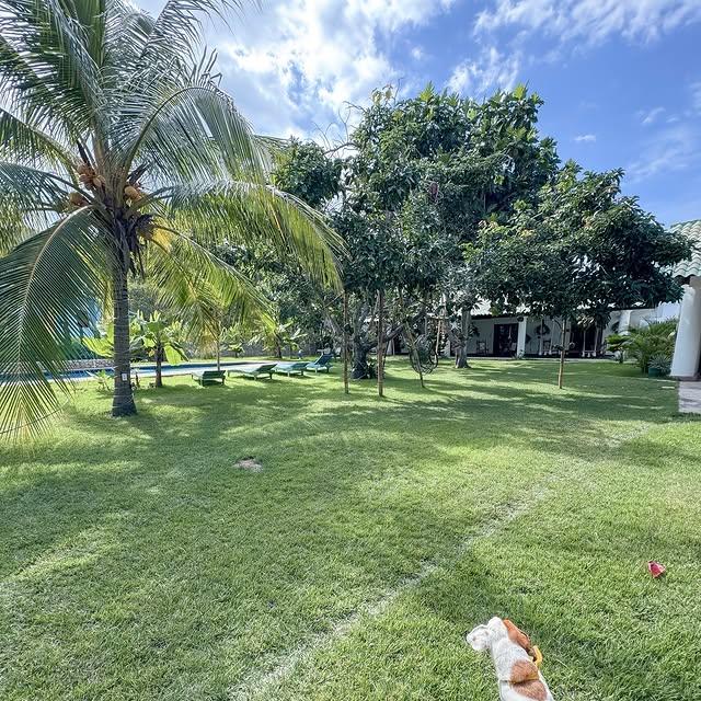 Habia Una Vez - Imagen 10