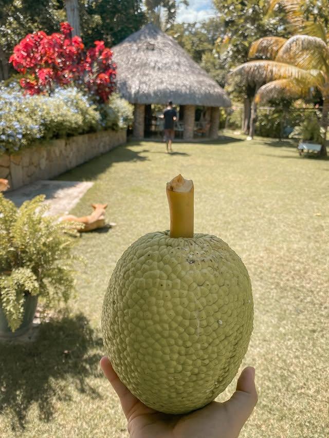 Habia Una Vez - Imagen 9