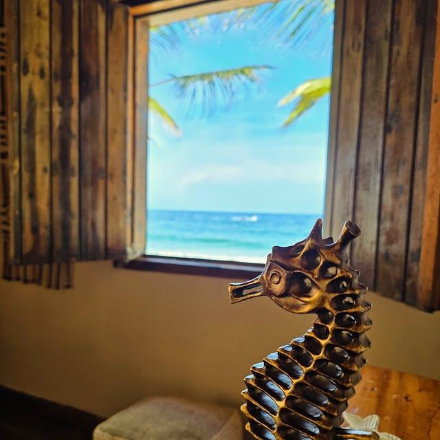 Chuao Mar background