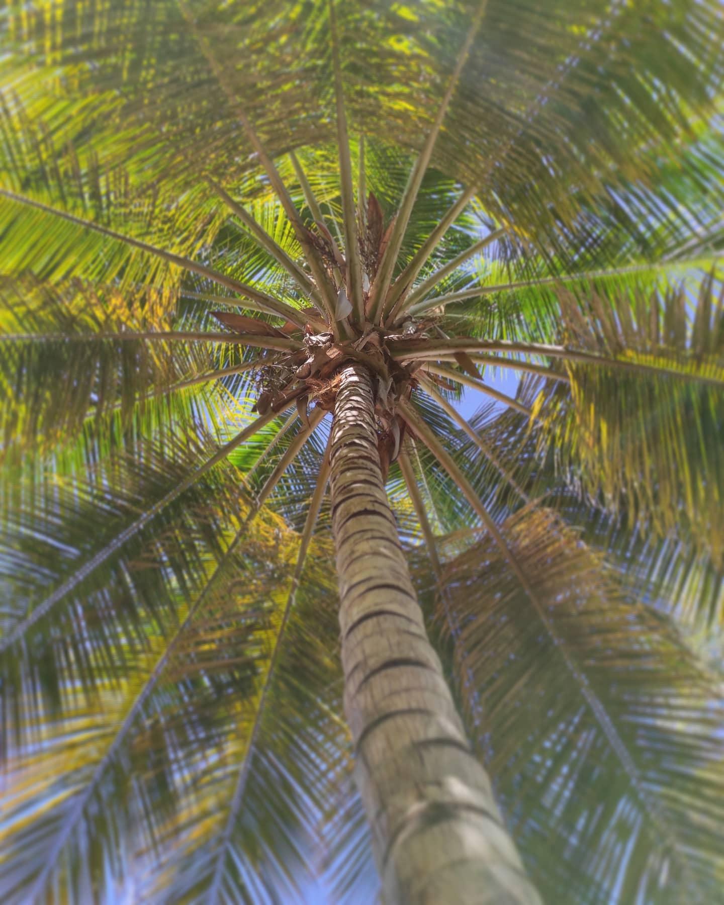 Casa Mori - Imagen 8