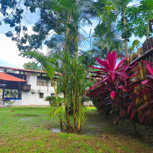 Posada Bambu - Imagen 9