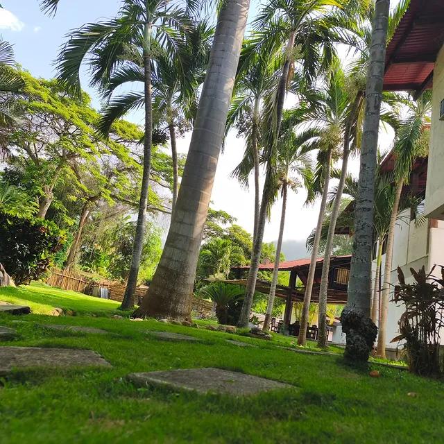 Posada Bambu - Imagen 6