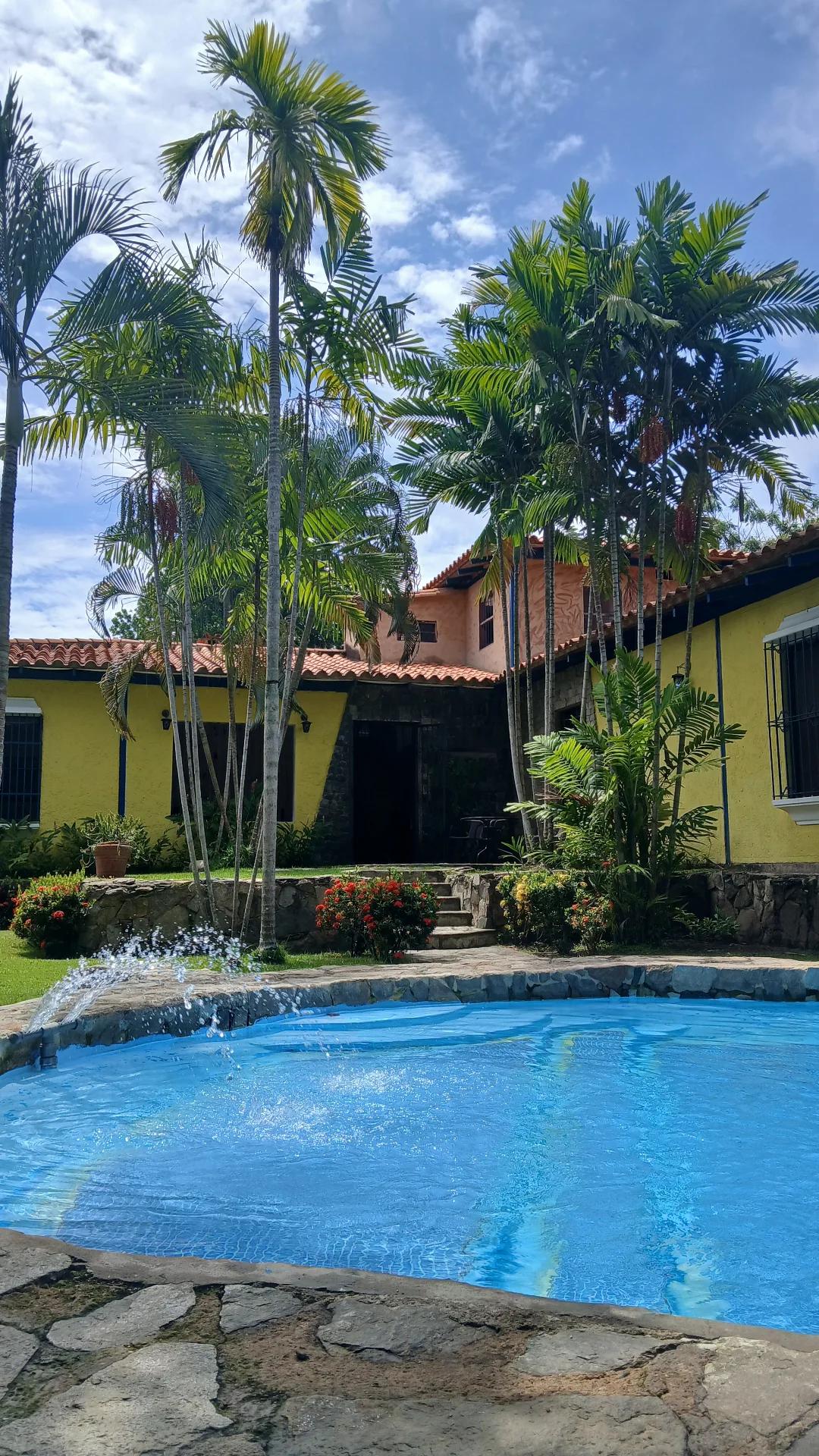 Cacao y Sueños - Imagen 2