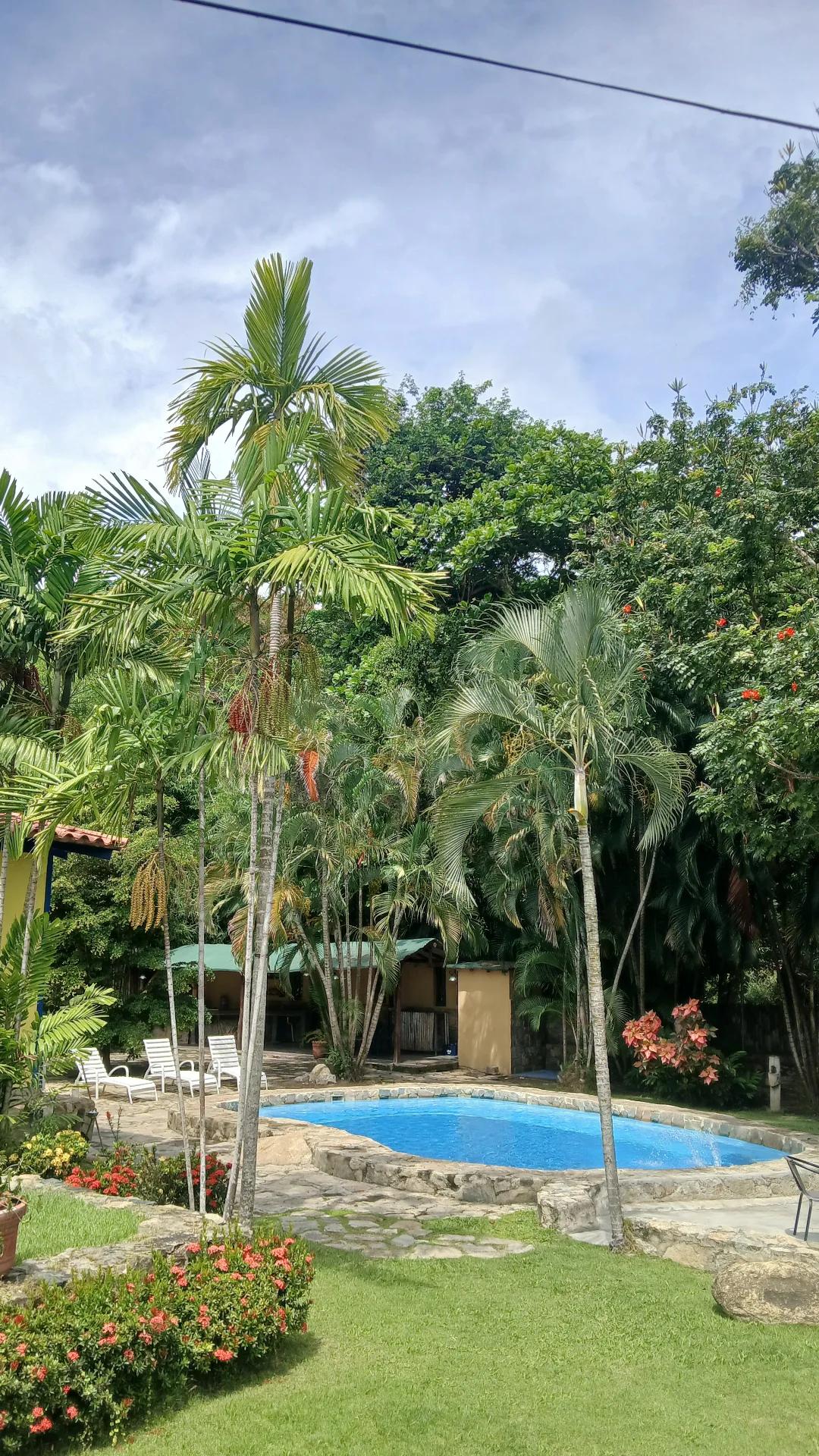 Cacao y Sueños - Imagen 3