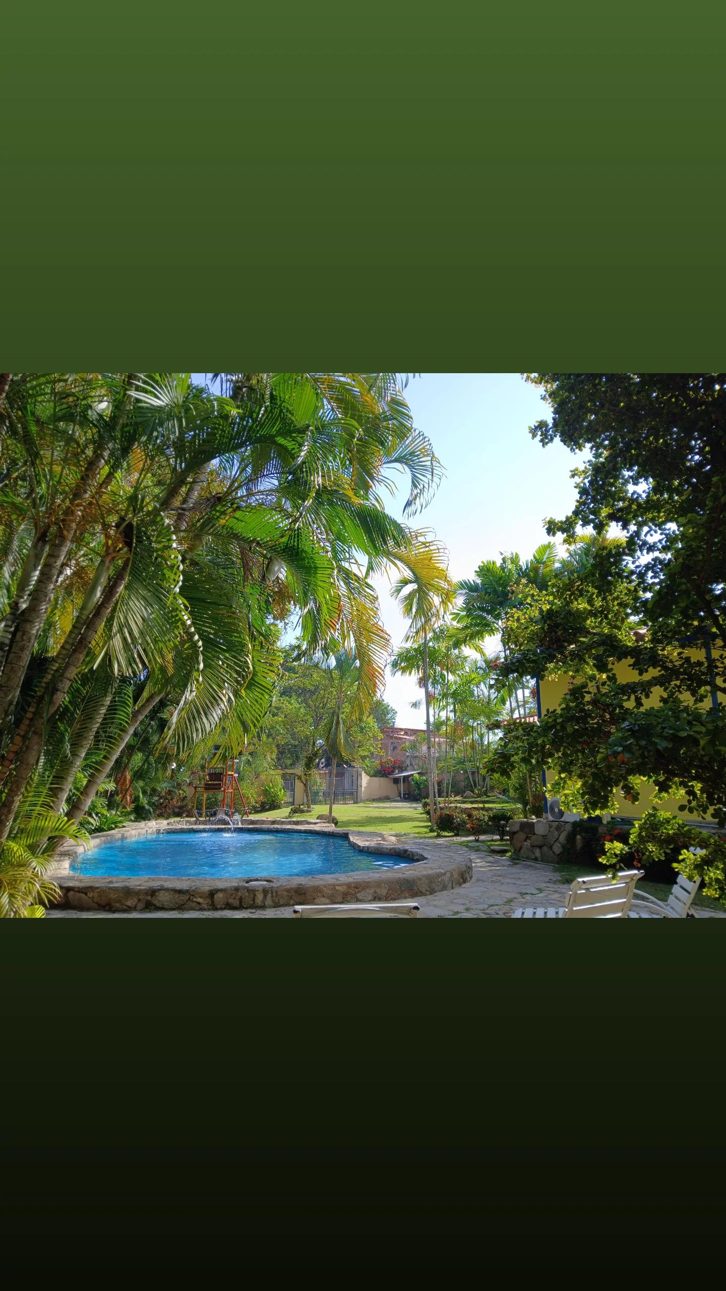 Cacao y Sueños - Imagen 1