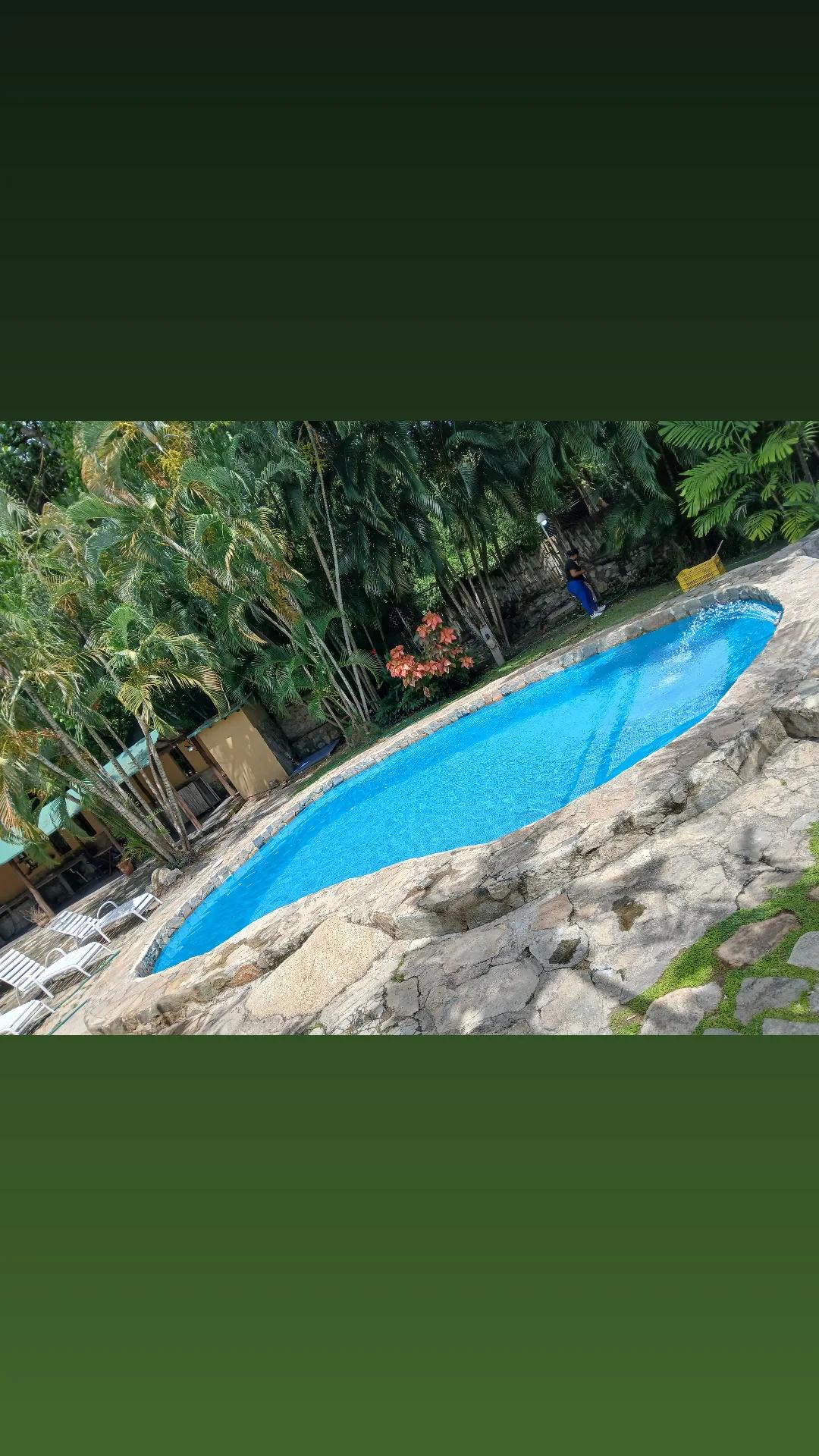 Cacao y Sueños - Imagen 6