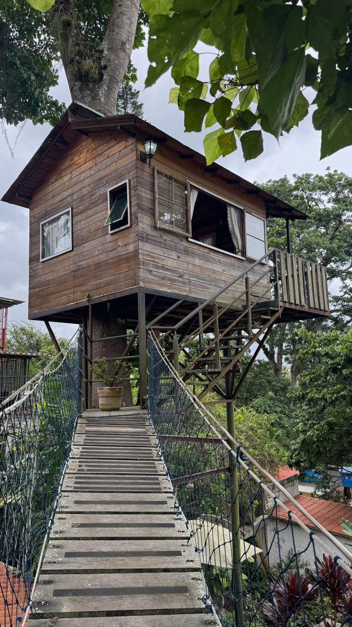 El Jardin de la Casita background