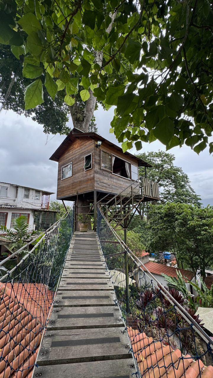 El Jardin de la Casita background