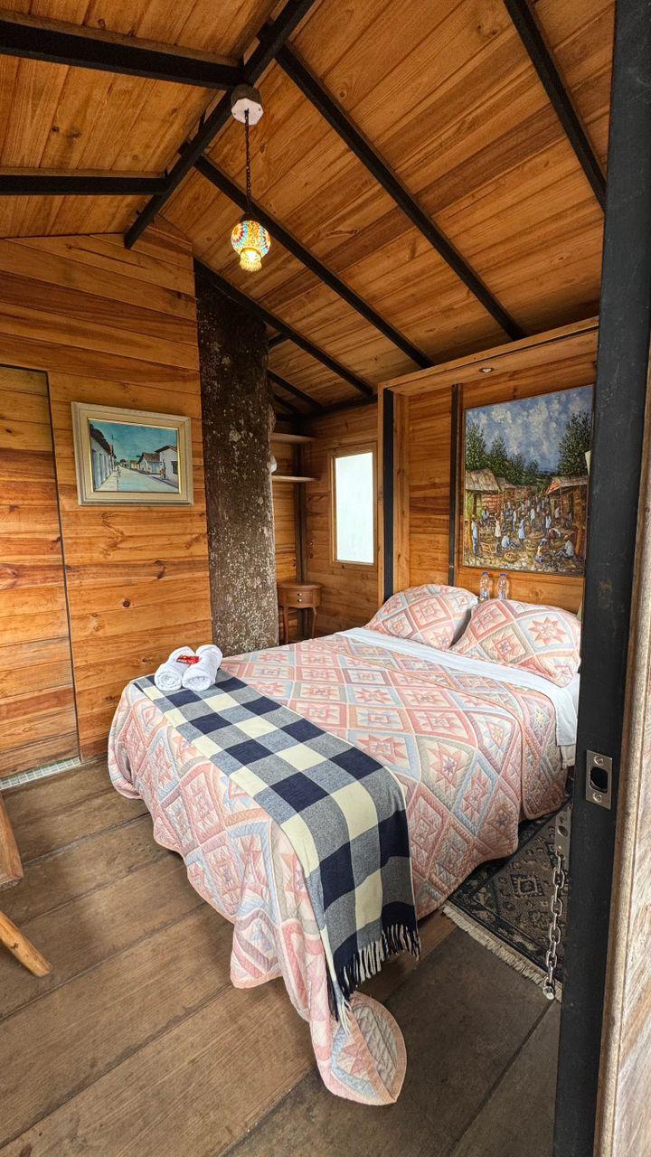 El Jardin de la Casita background