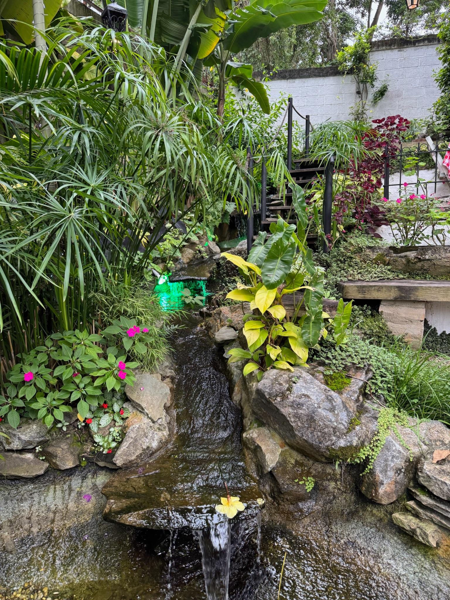 El Jardin de la Casita background