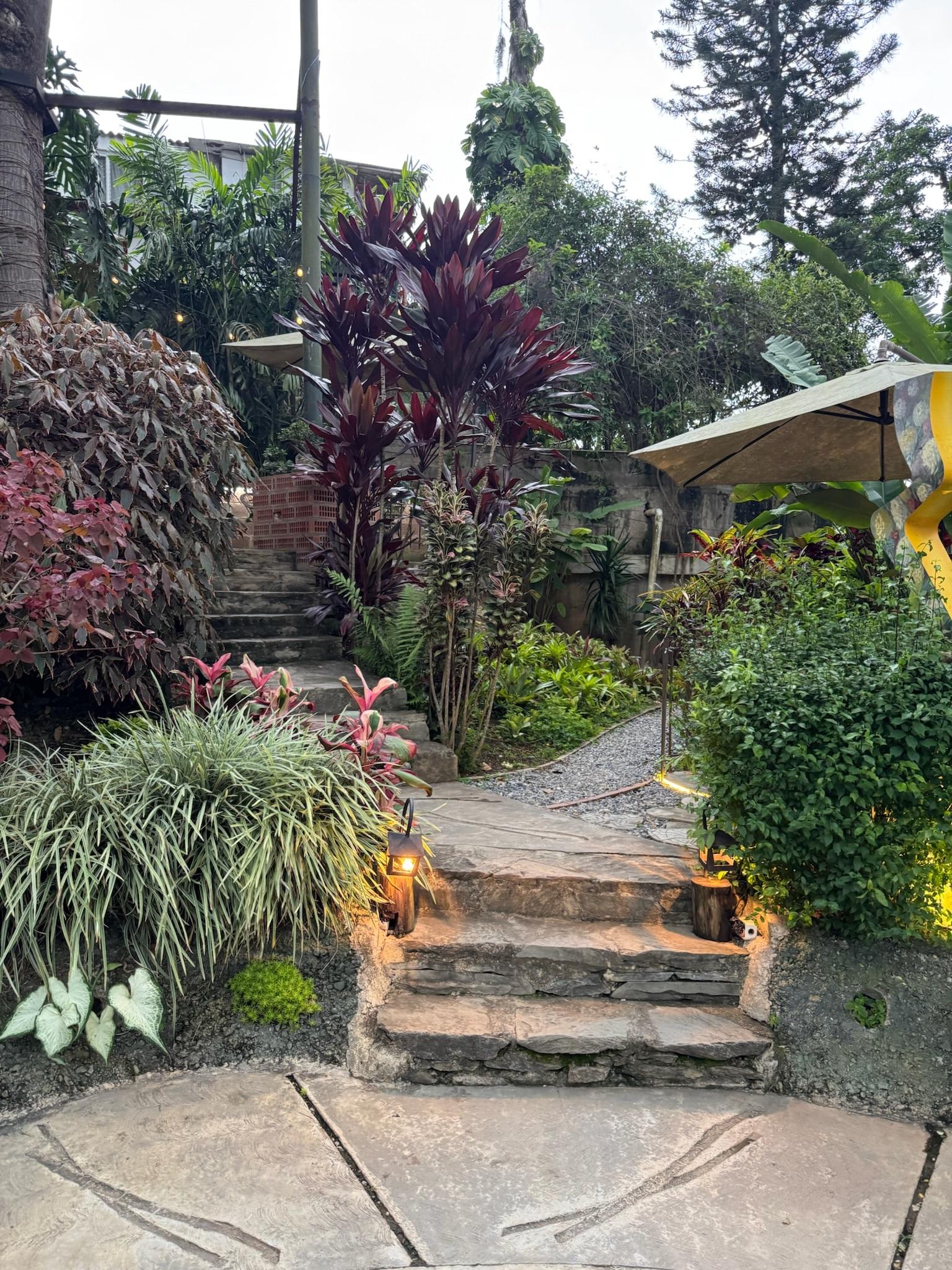 El Jardin de la Casita background