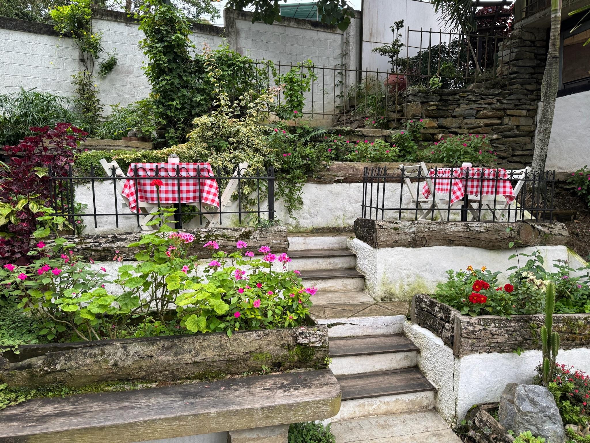 El Jardin de la Casita background