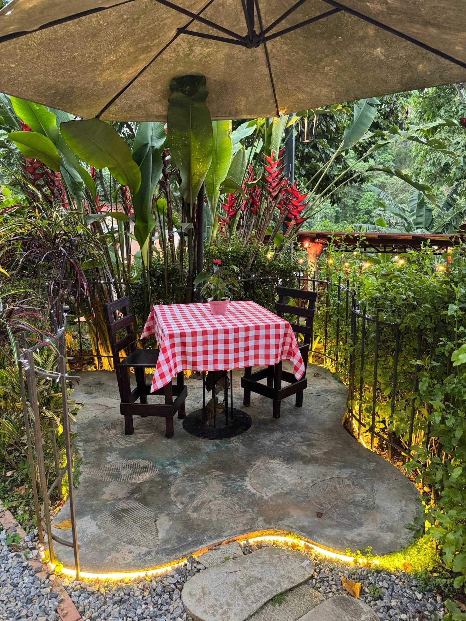 El Jardin de la Casita background