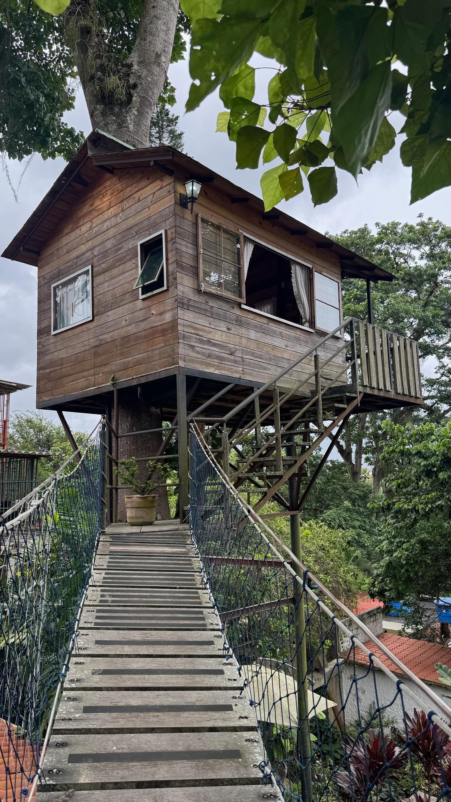 El Jardin de la Casita background