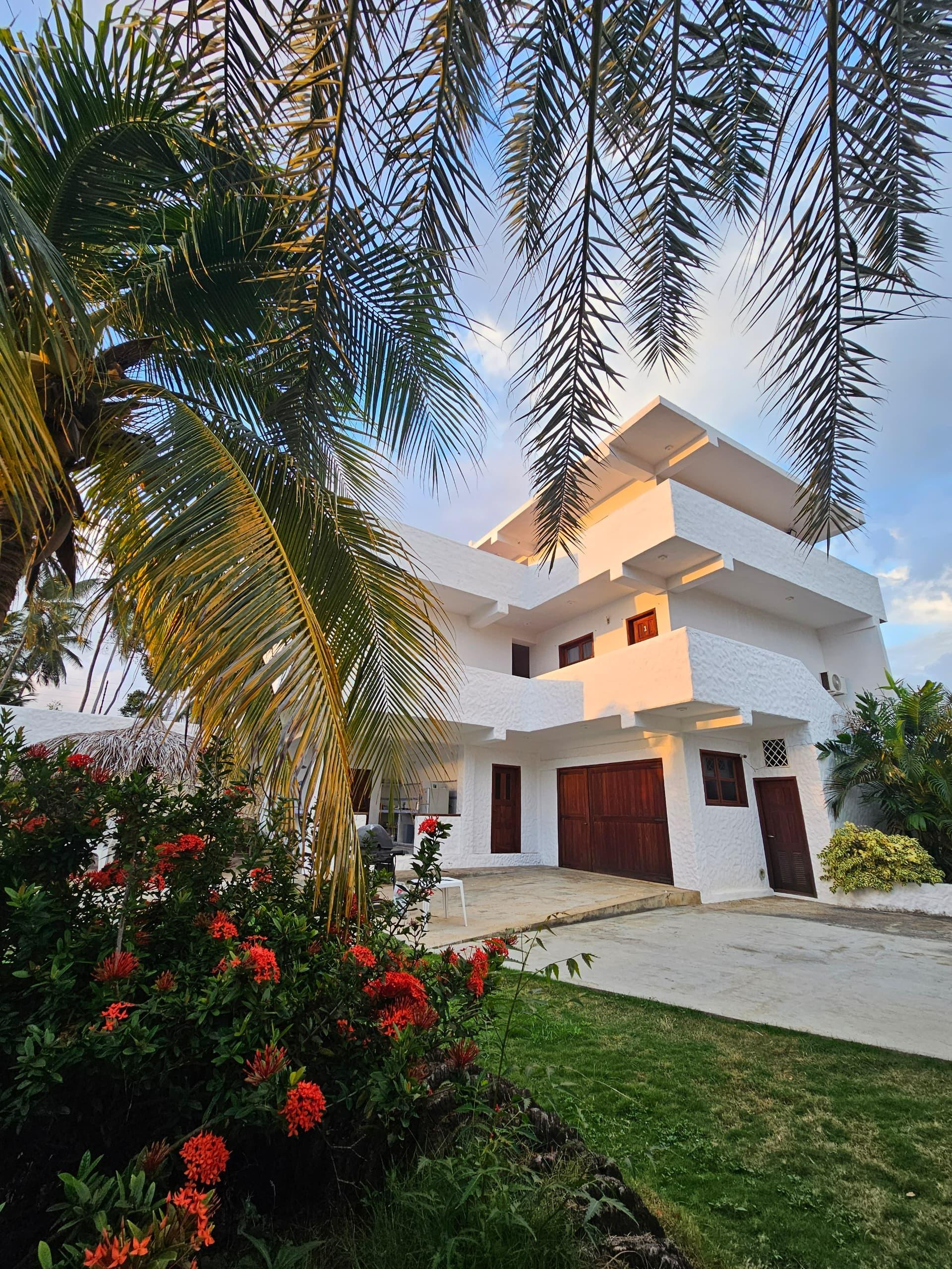 Cocorelax - Imagen 1