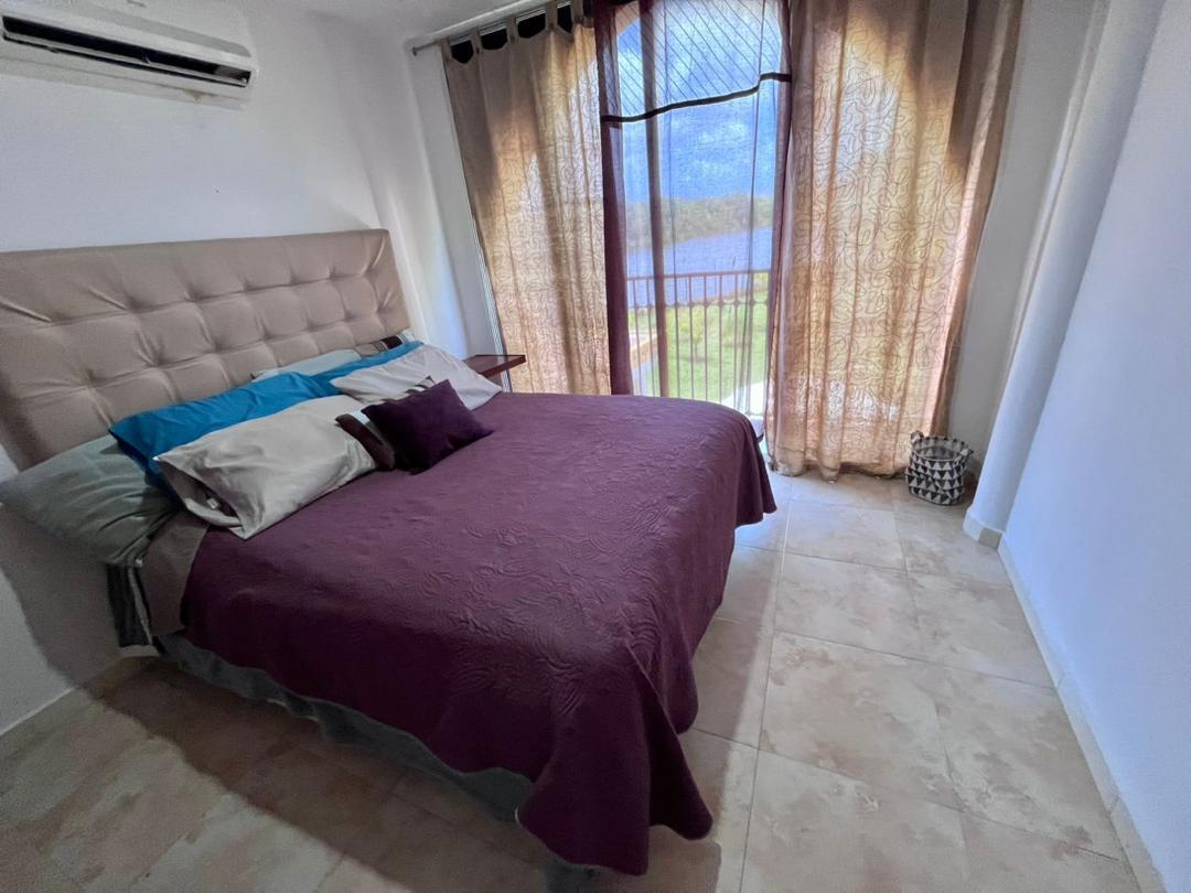 Shaboo Laguna background