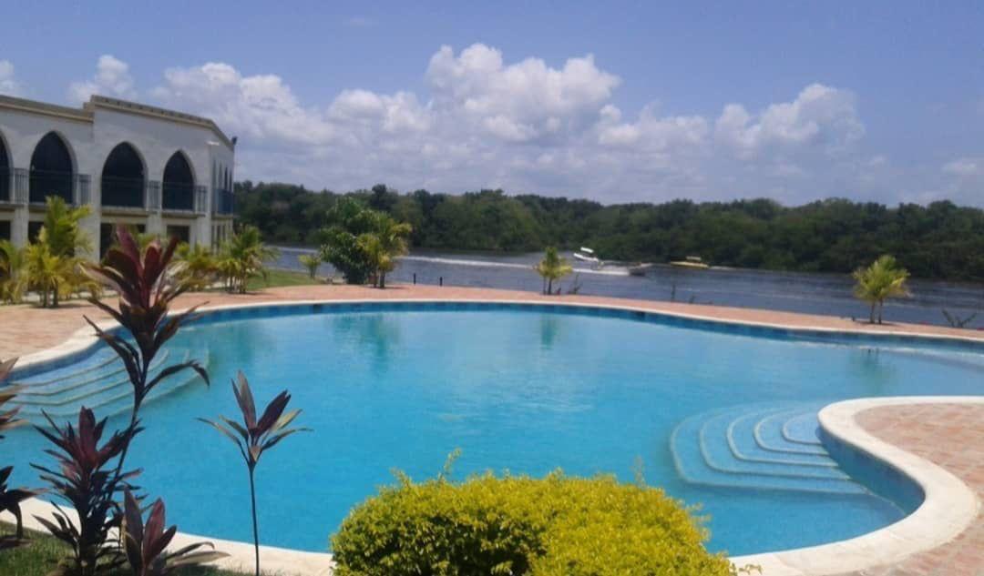 Shaboo Laguna background