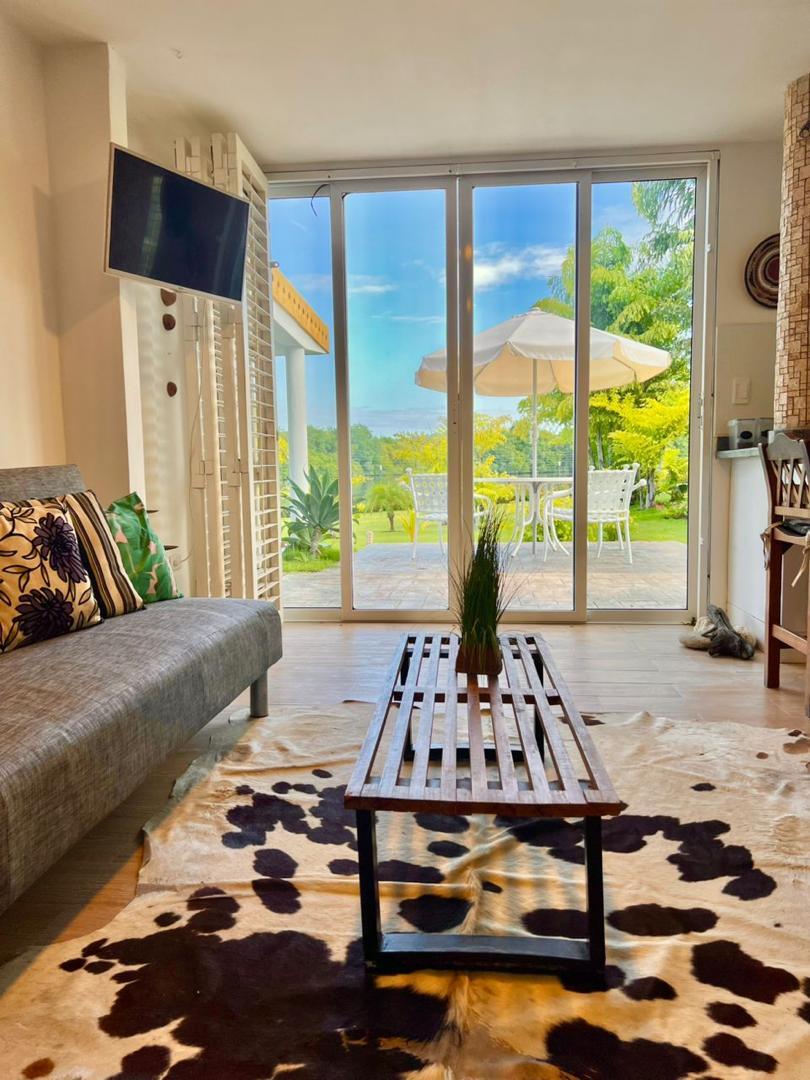 Shaboo Laguna background