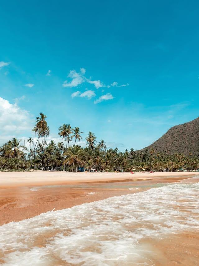 Cacaoni Hotel - Imagen 16