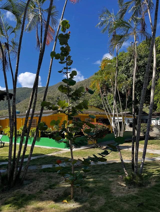 La Gran Familia background