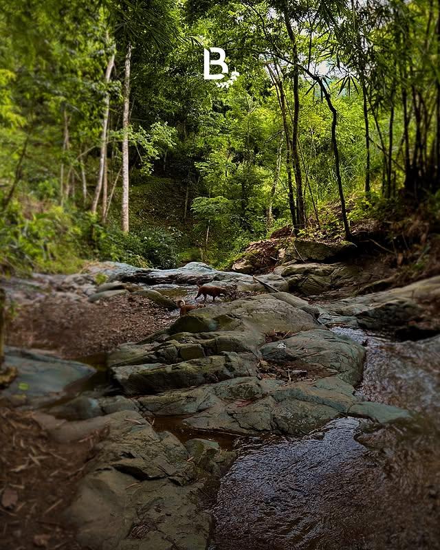 La Barquera Ecoposada background