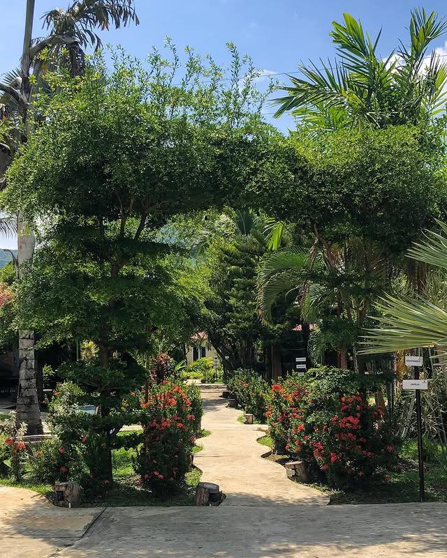 Posada Cachapua - Imagen 4