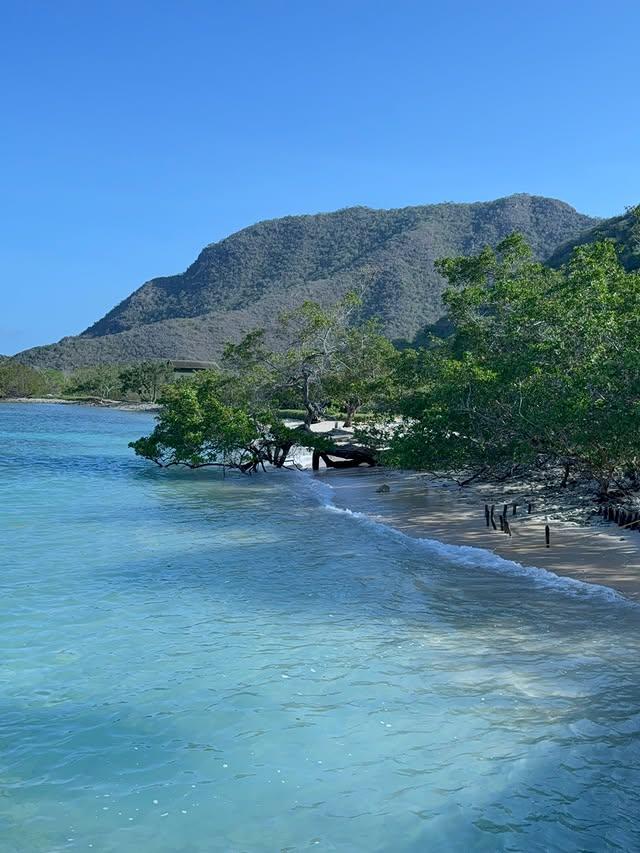 Cienagamia Posada - Imagen 4