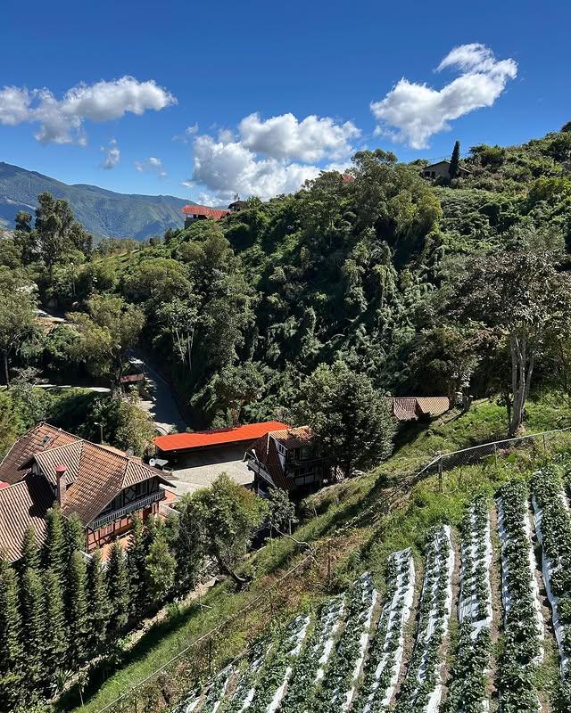 Posada Colonia Tovar - Imagen 7