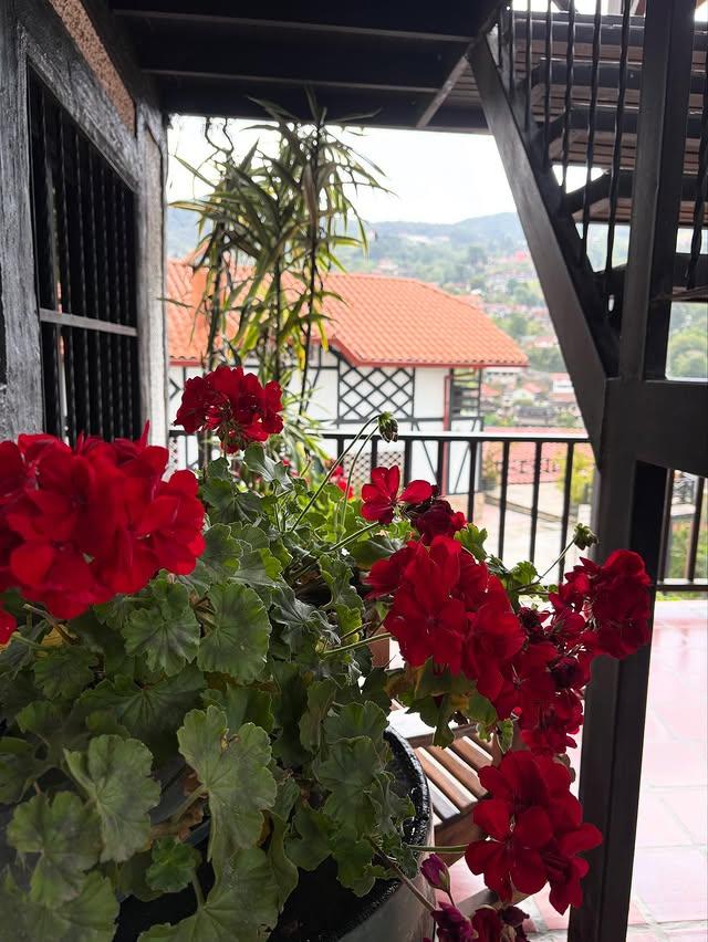 Posada Colonia Tovar - Imagen 11