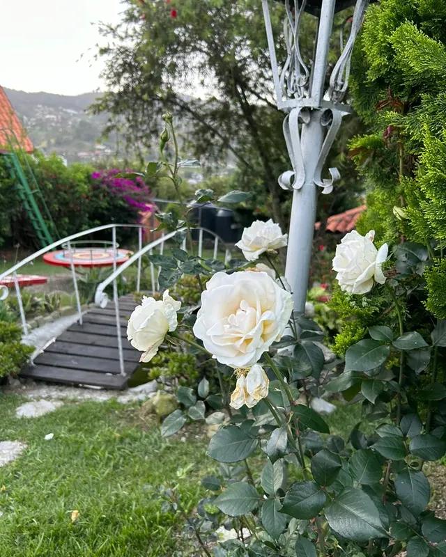 Cabañas Titisee - Imagen 8