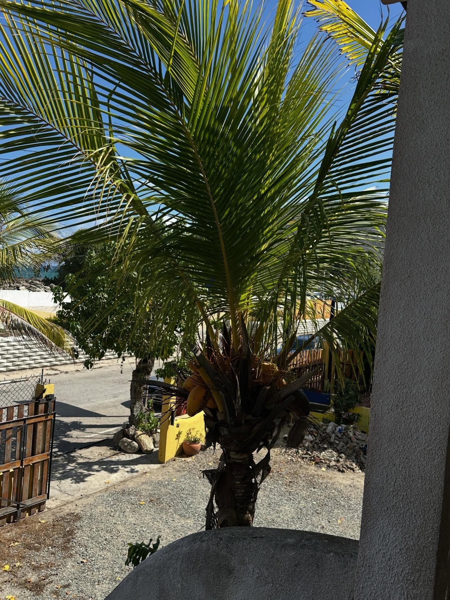 Posada Ecolodge background