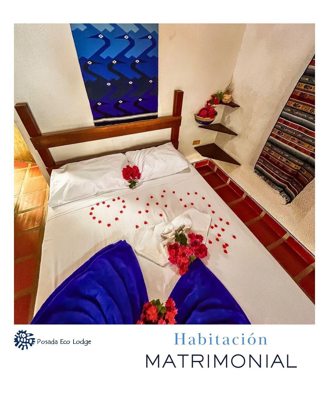 Posada Ecolodge background