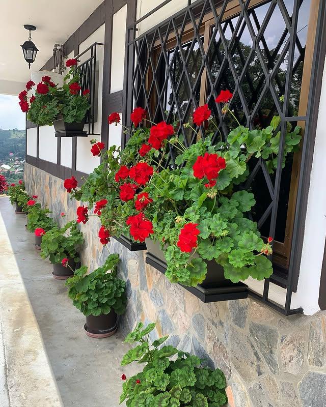 Cabañas Heidelberg - Imagen 3