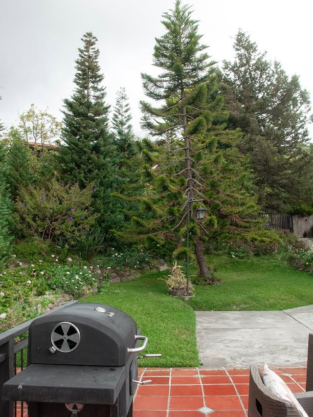 Mory Haus - Imagen 5