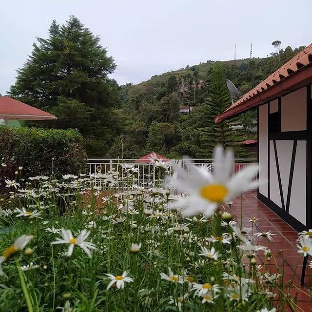 Cabañas Silberbrunnen - Imagen 5