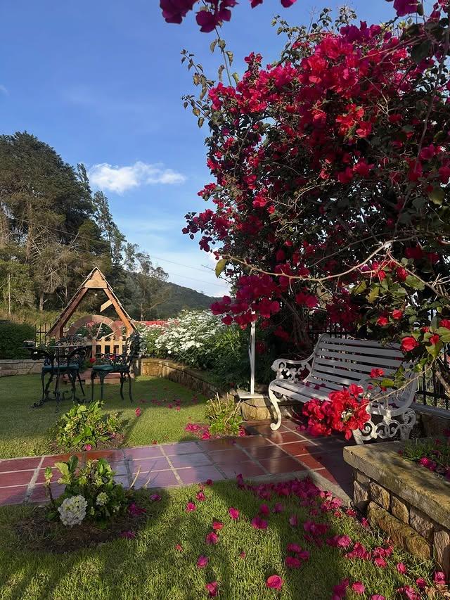 Posada Triberg - Imagen 11