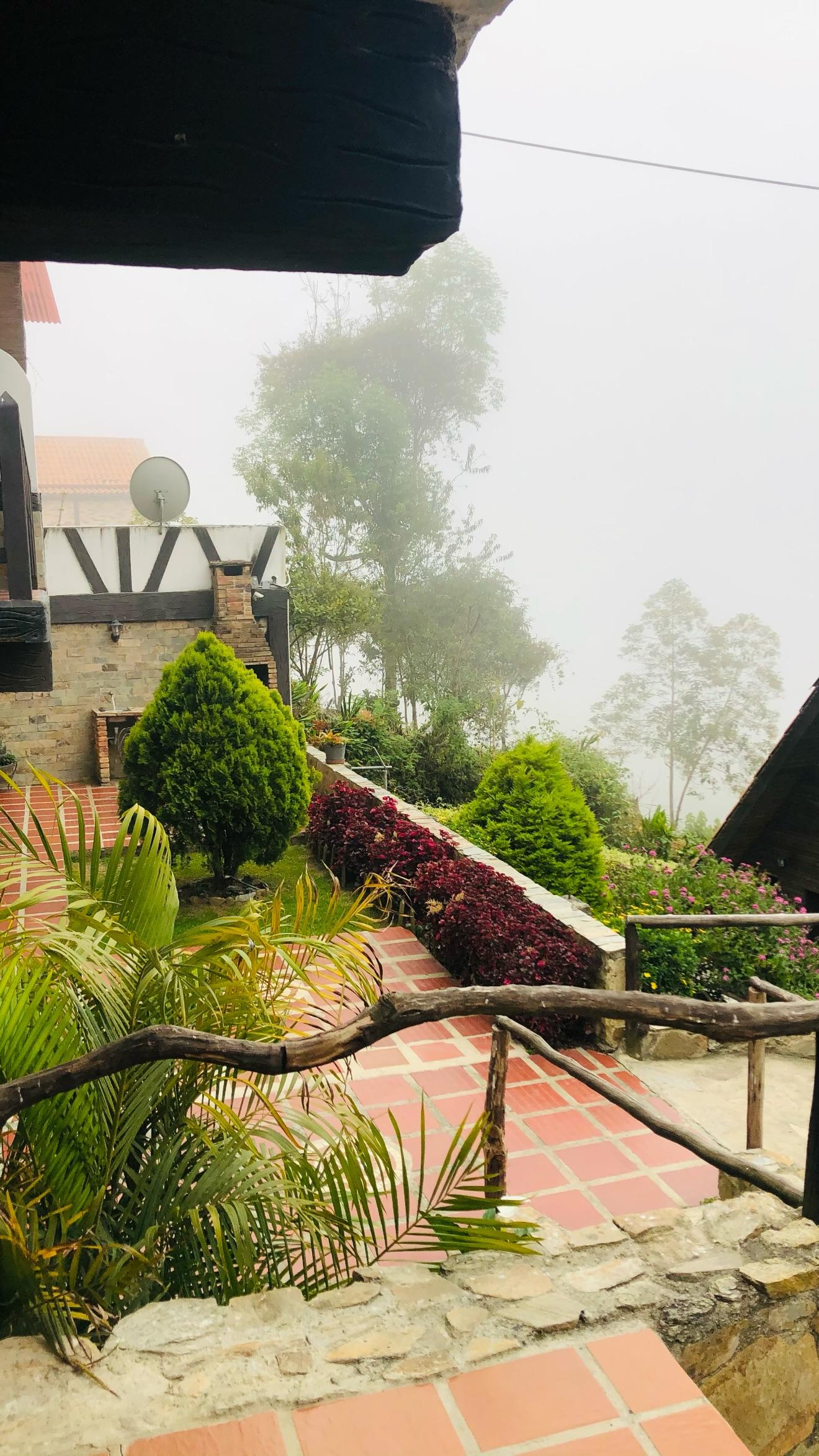 Cabañas El Bosque - Imagen 11