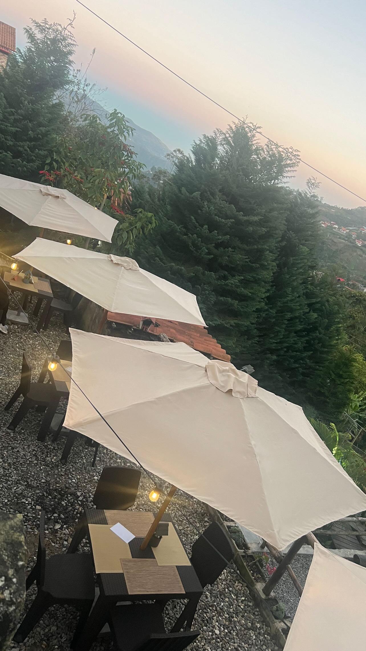 Cabañas El Bosque - Imagen 9