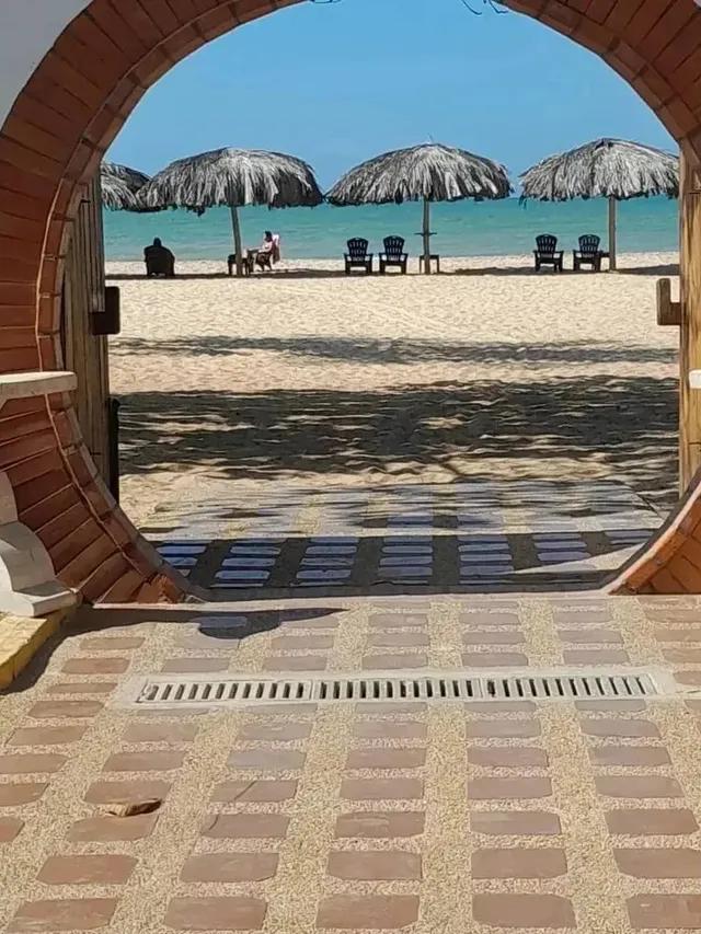 Paradise Inn - Imagen 3