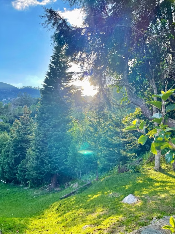 Casa Master Colonia Tovar - Imagen 7